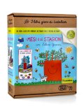 I Mesi e le Stagioni con l'Albero Giovanni — Libro/Gioco
