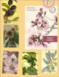 I Tarocchi della Foresta