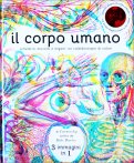 Il Corpo Umano — Libro