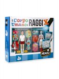 Il Corpo Umano a Raggi X