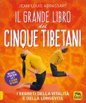 Il Grande Libro dei Cinque Tibetani — Libro