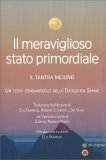 Il Meraviglioso Stato Primordiale — Libro