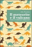 Il Meteorite e il Vulcano — Libro