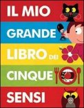 Il mio Grande Libro dei Cinque Sensi  — Libro