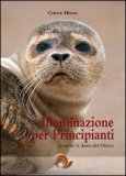 L'illuminazione per Principianti — Libro
