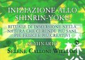 Video Corso - Iniziazione allo Shinrin-Yoku — Digitale