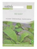 Semi d'Insalata Asiatica Red Giant