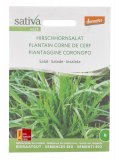 Semi di Insalata Piantaggine Coronopo