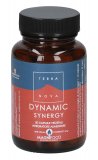 Integratore Dynamic Synergy