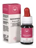 Ippocastano - Basegemmo