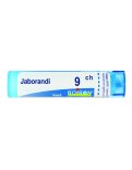 Jaborandi 9CH Granuli Boiron