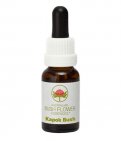 Kapok Bush - Fiori australiani - 15 ml