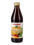 Kombucha - Amarena e Menta
