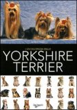 l'Enciclopedia dello Yorkshire Terrier — Libro