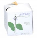 L'Incomparabile - Shampoo e Balsamo Solido 2 in 1 Anti-Forfora