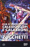 L'Incredibile Alchimia del Gruppo Zucchetti - Hub di Imprenditori, Caleidoscopi e Calabroni — Libro