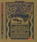 La Bella Addormentata nel Bosco — Libro