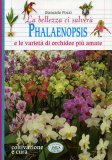 Phalaenopsis e le varietà di orchidee più amate  — Libro