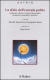 La Sfida dell'Energia Pulita — Libro