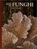 La Vita Segreta dei Funghi — Libro