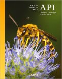 La Vita Segreta delle Api — Libro