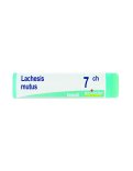 Lachesis Mutus 7CH Globuli Monodose Boiron