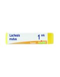Lachesis Mutus MK Globuli Monodose Boiron
