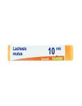 Lachesis Mutus XMK Globuli Monodose Boiron