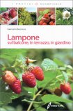 Lampone sul Balcone, in Terrazzo, in Giardino — Libro