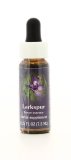 Larkspur - Fiori californiani