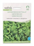 Semi di Lattuga Burro Verde Precoce Bio