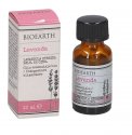 Lavanda Ibrida - Olio Essenziale Bio