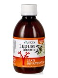 Ledum Idromiele