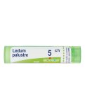 Ledum Palustre 5CH Granuli Boiron