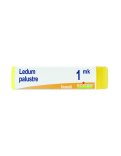 Ledum Palustre MK Globuli Monodose Boiron