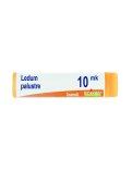 Ledum Palustre XMK Globuli Monodose Boiron