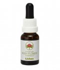 Lichen Essence - Essenza Floreale Australiana Singola