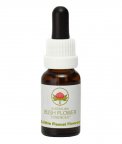 Little Flannel Flower - Fiori australiani - 15 ml