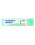 Lycopodium Clavatum MK Granuli Boiron