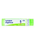 Lycopus 5CH Granuli Boiron