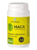 Maca