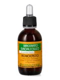 Macerato Idroalcolico - Agnocasto