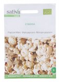 Semi di Mais per Popcorn Cinema