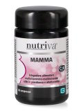 Mamma