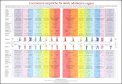 Mappa "Correlazioni Empiriche fra Denti, Odontoni e Organi" — Poster
