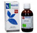 Melissa - Macerato di Pianta Fresca Bio