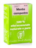 Menta Campestre - Olio Essenziale Bio