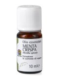 Menta Crispa - Olio Essenziale