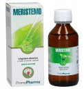 Meristemo 12 - Ipotalamo