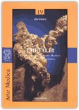 I metalli — Libro